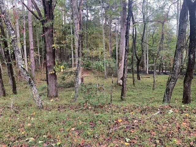 Property Photo:  Lot 132 Fox Cove Road  GA 30512 