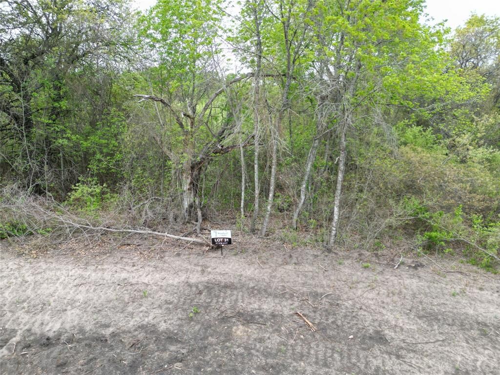 Property Photo:  197 Fan Mill Trail  TX 76085 