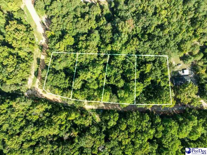 Property Photo:  0000 Jeffrey St. Lot 79  SC 29520 