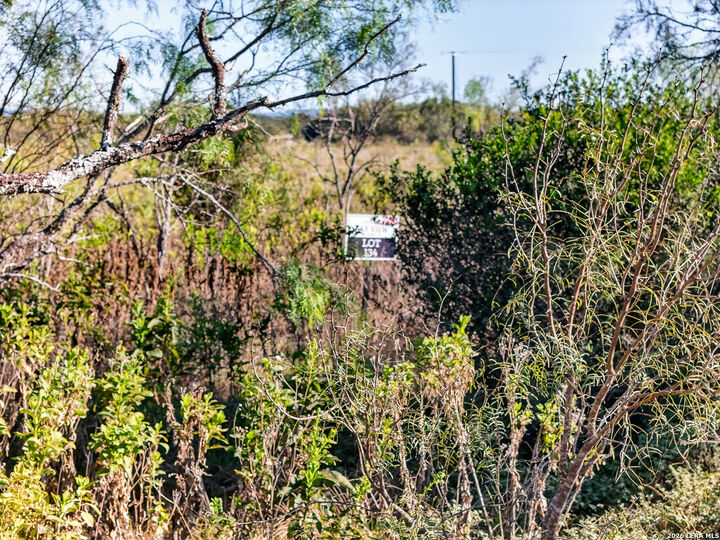 Property Photo:  Lot 134 Fm 1796  TX 78850 