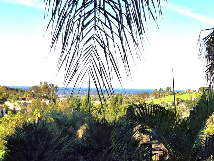 Property Photo:  3630 Blue Bird Canyon Road  CA 92084 