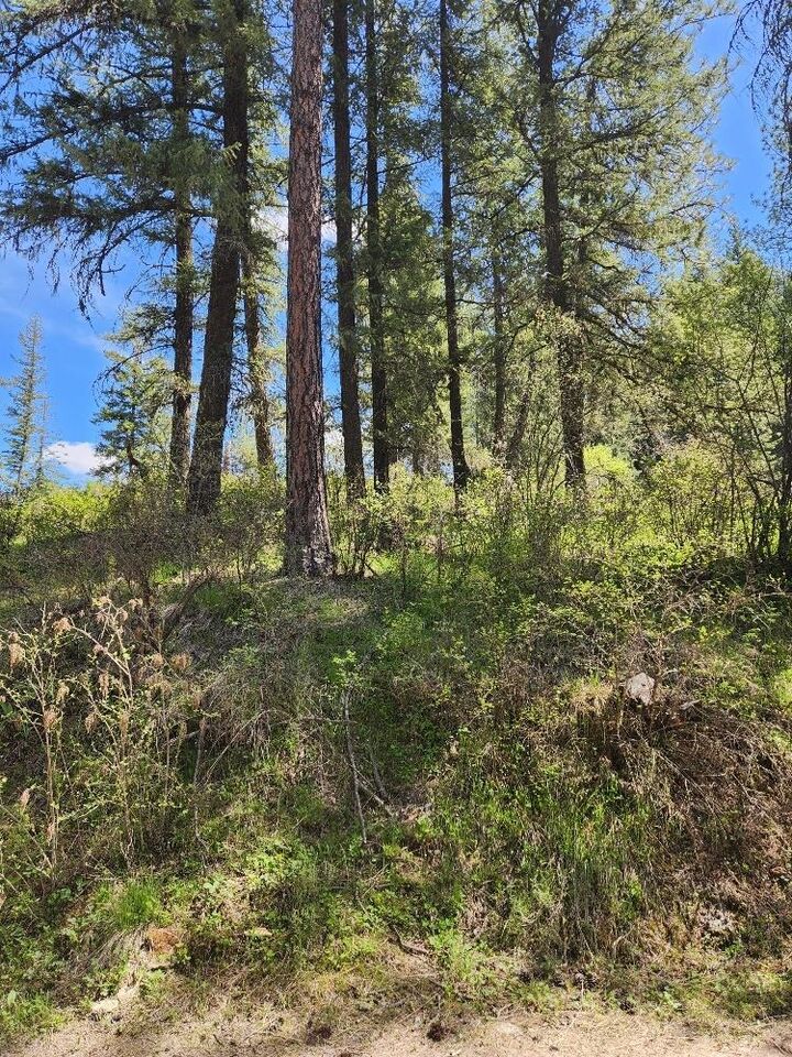 Property Photo:  20866 N Mt Carlton Rd  WA 99021 