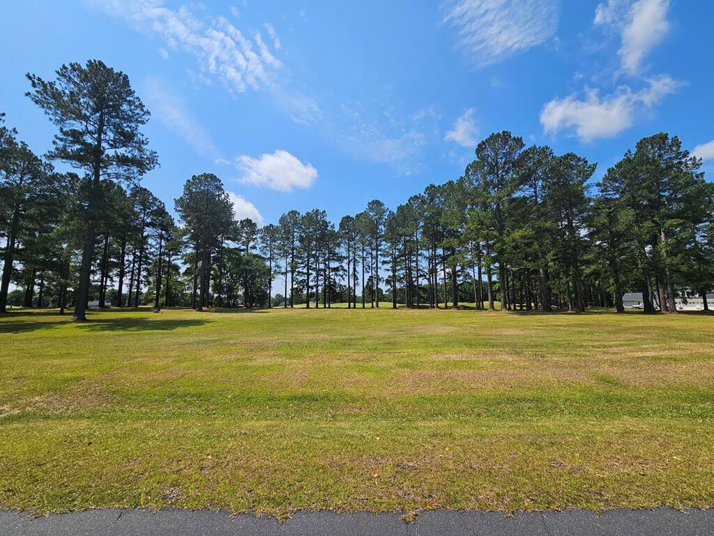 Property Photo: 423 Pinelake Court SC 29102
