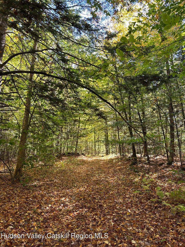 Property Photo:  0 Moore Hill Lot 3  NY 12169 