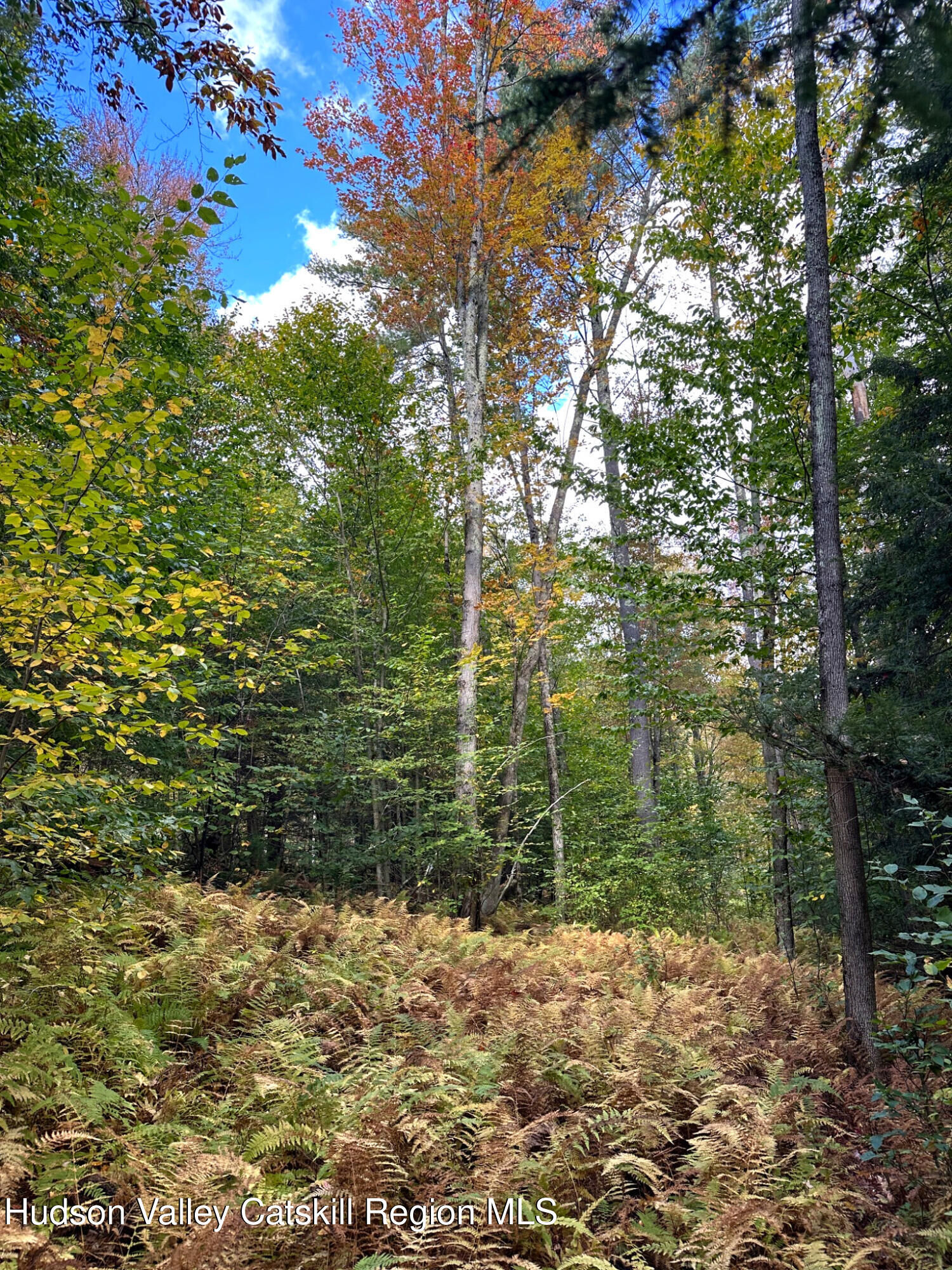 Property Photo:  0 Moore Hill Lot 1  NY 12169 