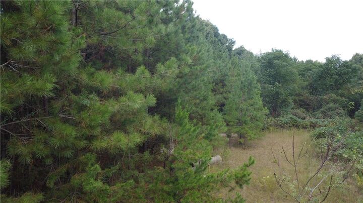 Property Photo:  3 Red Apple Lane  SC 29678 