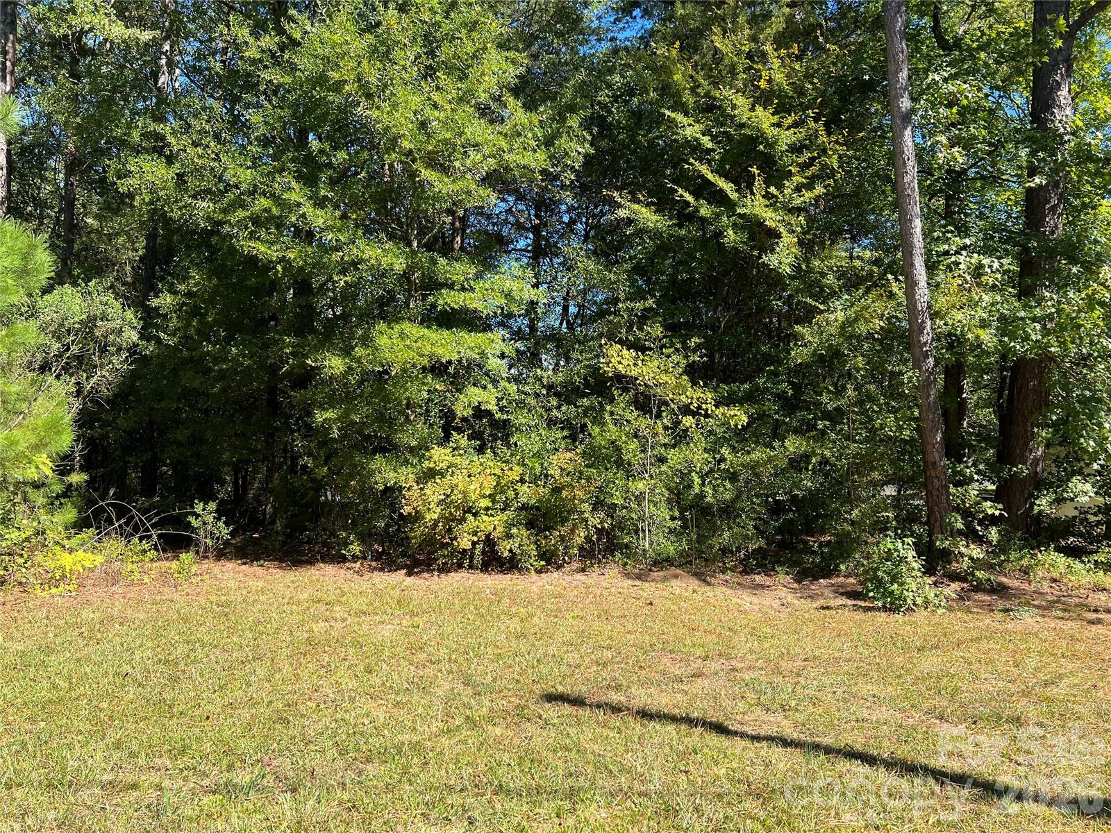 Property Photo:  00 Ross Drive 1  NC 28001 