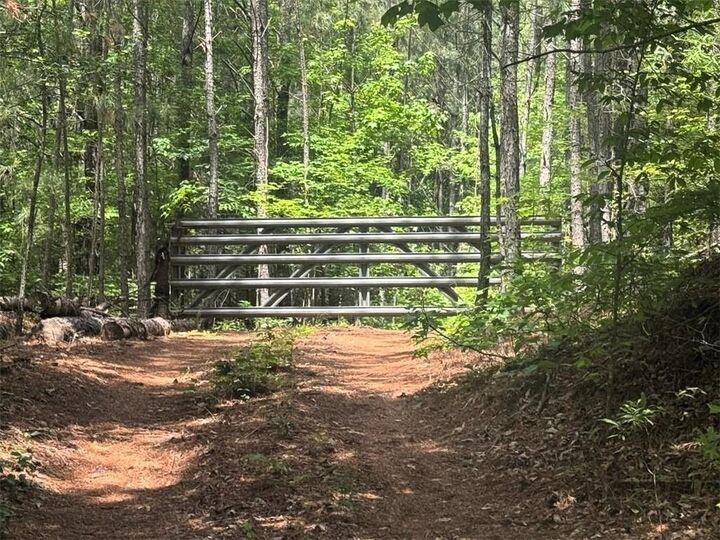 Property Photo: 0 Butler Bridge Road GA 30252