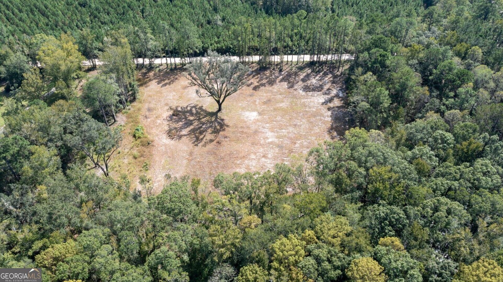 Property Photo: 2374 Colesburg Tompkins Road GA 31569