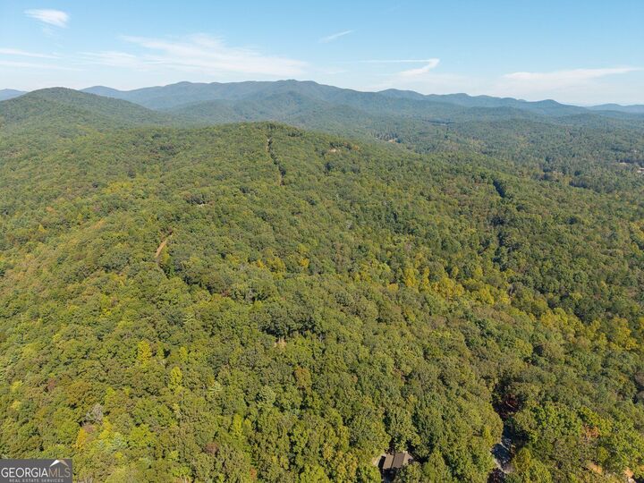 Property Photo:  Lot 22,23,0 Abbott Mill Road  GA 30540 