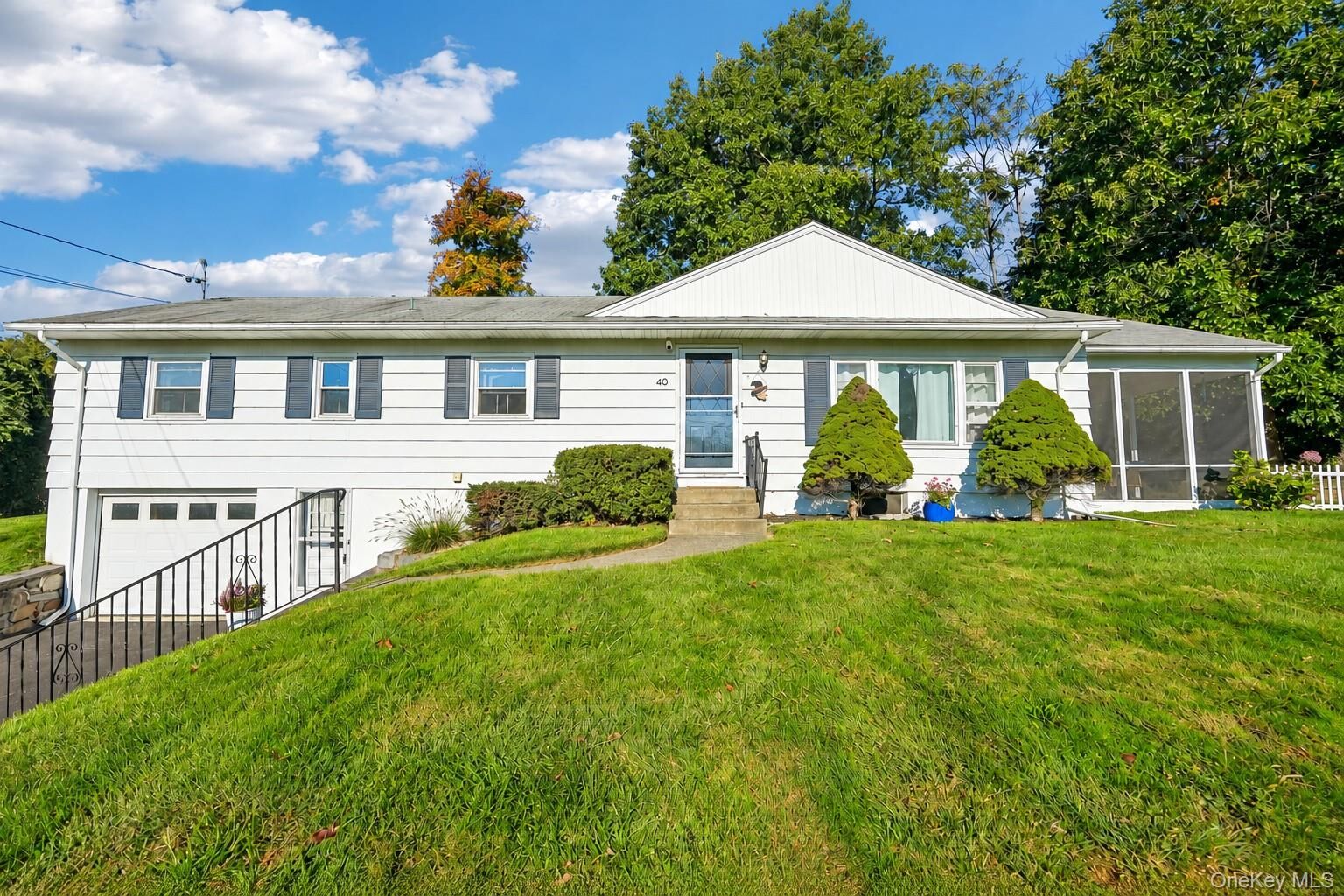 Property Photo:  40 Birchwood Drive  NY 12553 