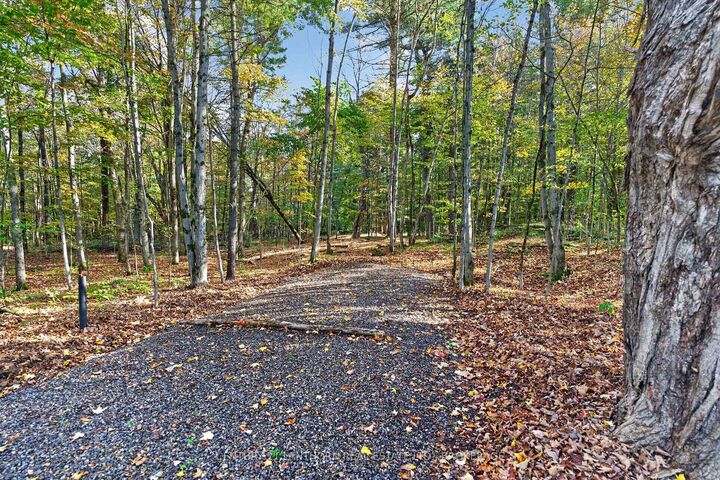 Property Photo:  0 Sherman Springs Road  ON K0E 1R0 