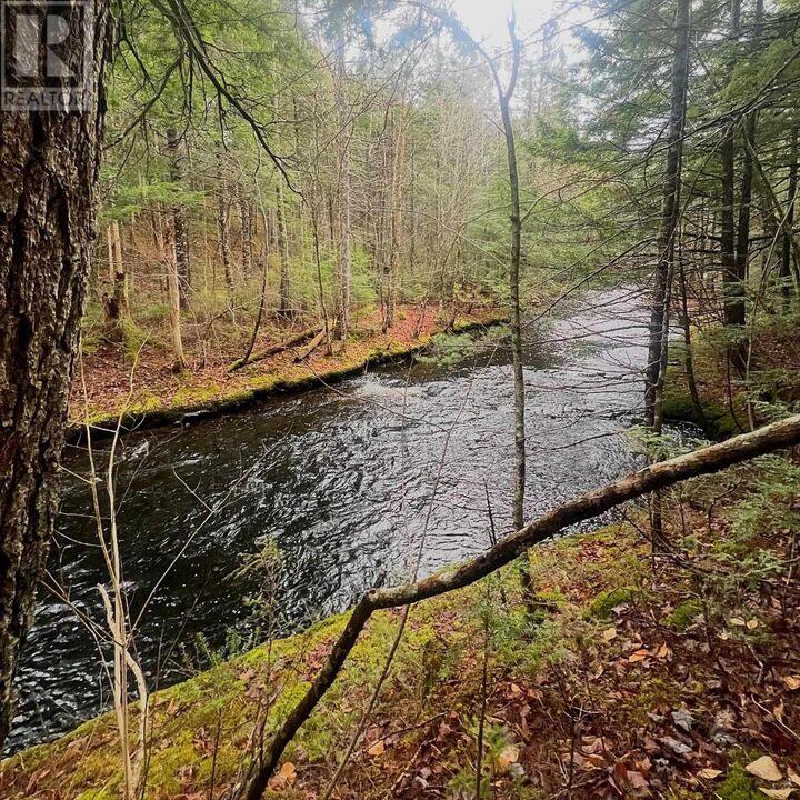 Property Photo:  Old Route 5, Big Bras D'Or  NS B1X 1A2 