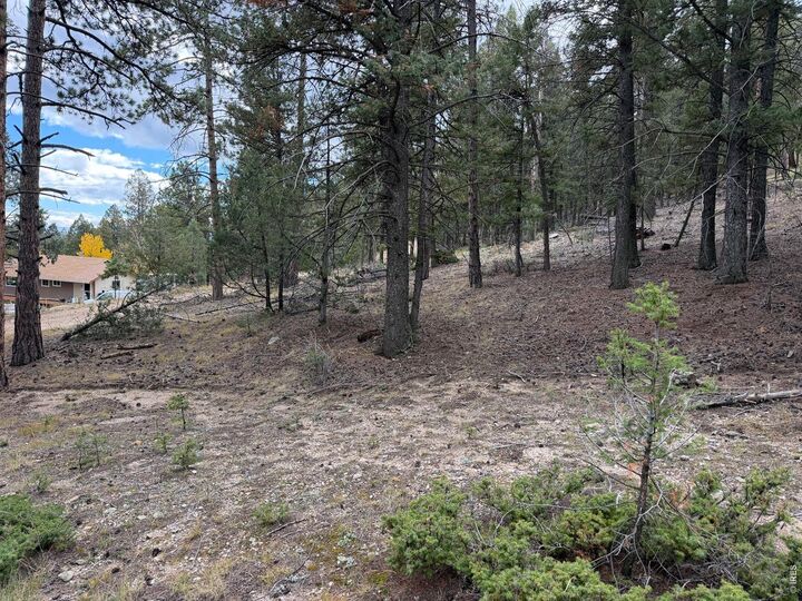Property Photo: 0 Toboggan Rd CO 80470