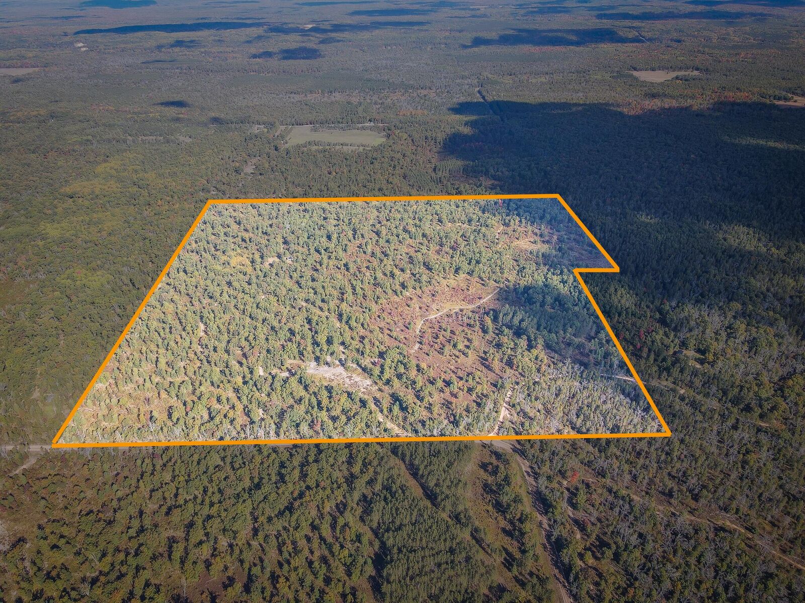 Property Photo:  23646 W 12 Mile Road  MI 49689 