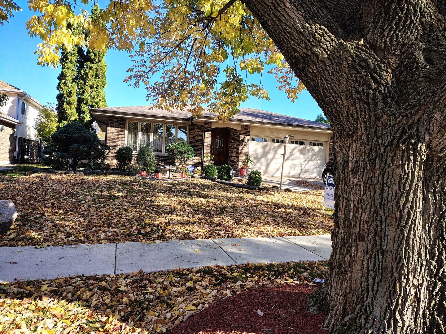 Property Photo:  7801 Surrey Drive  IL 60561 
