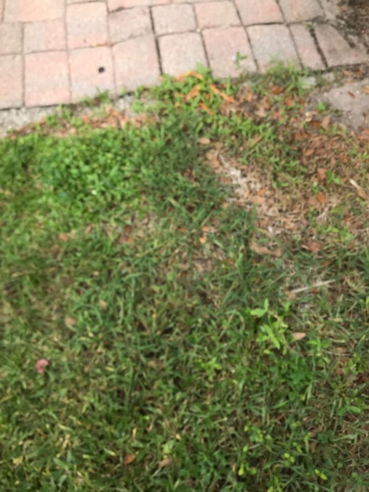 Property Photo:  5166 SE White Oleander 5166  FL 33415 