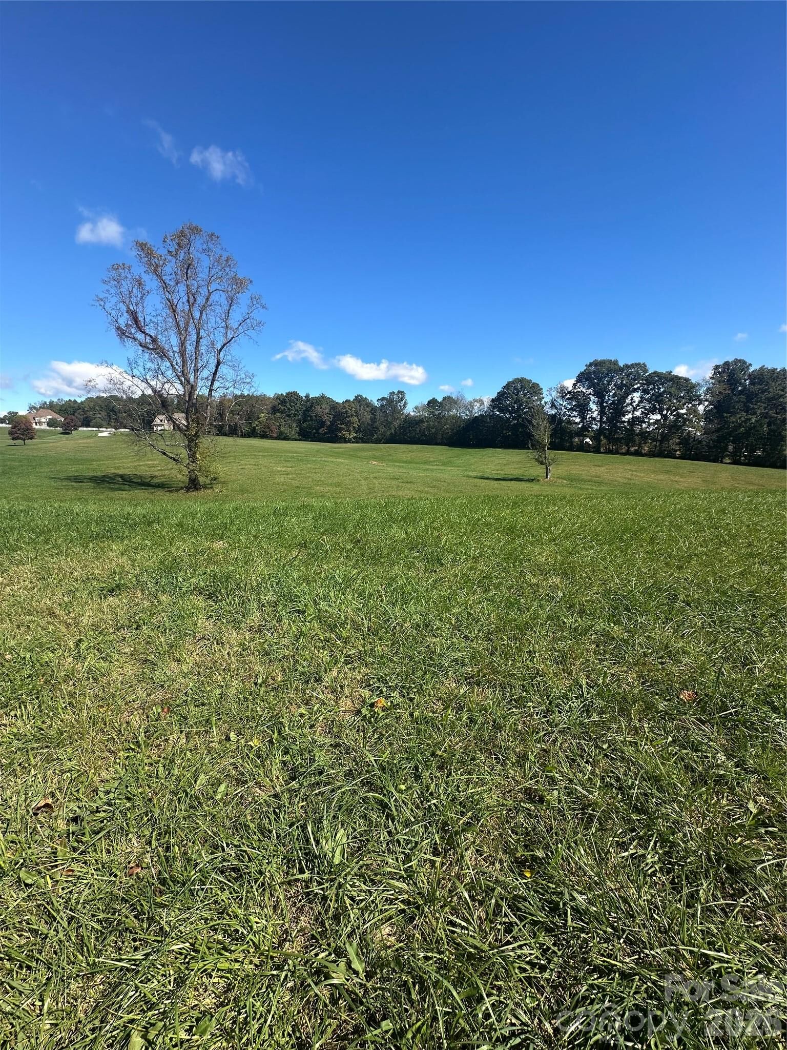 Property Photo:  Lot 4 Saint Andrews Drive Lot 4  NC 28659 