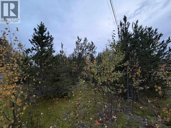 Property Photo:  3567 Rose Avenue  BC V8G 5T7 