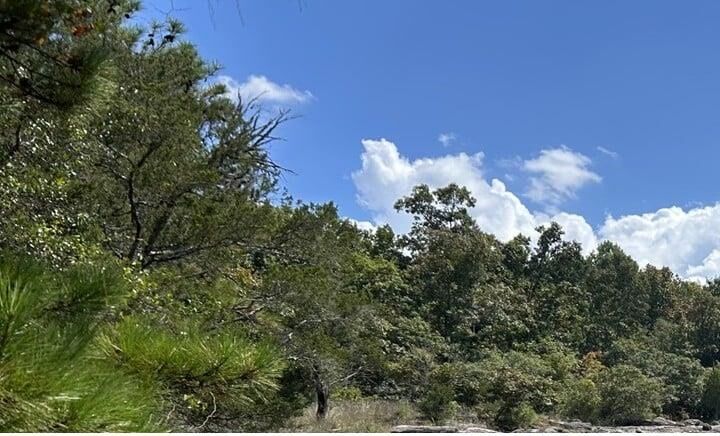 Property Photo:  2476 Rockbridge Road NW  GA 30012 
