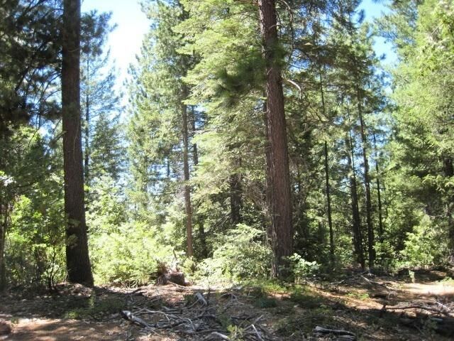 Property Photo:  46 Ringtail Road  CA 95634 