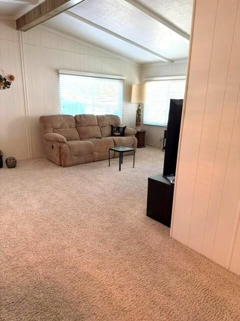 Property Photo:  10200 Grinding Rock Drive  CA 95949 