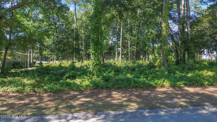 Property Photo:  1629 27 Colonist Square SW  NC 28469 