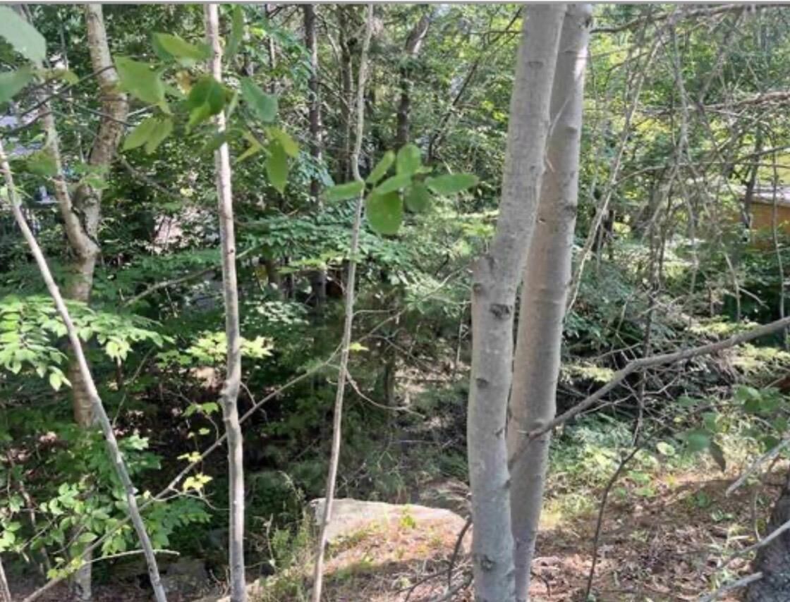 Property Photo:  Lot C6c Purcells Cove Road  NS B3P 1C4 