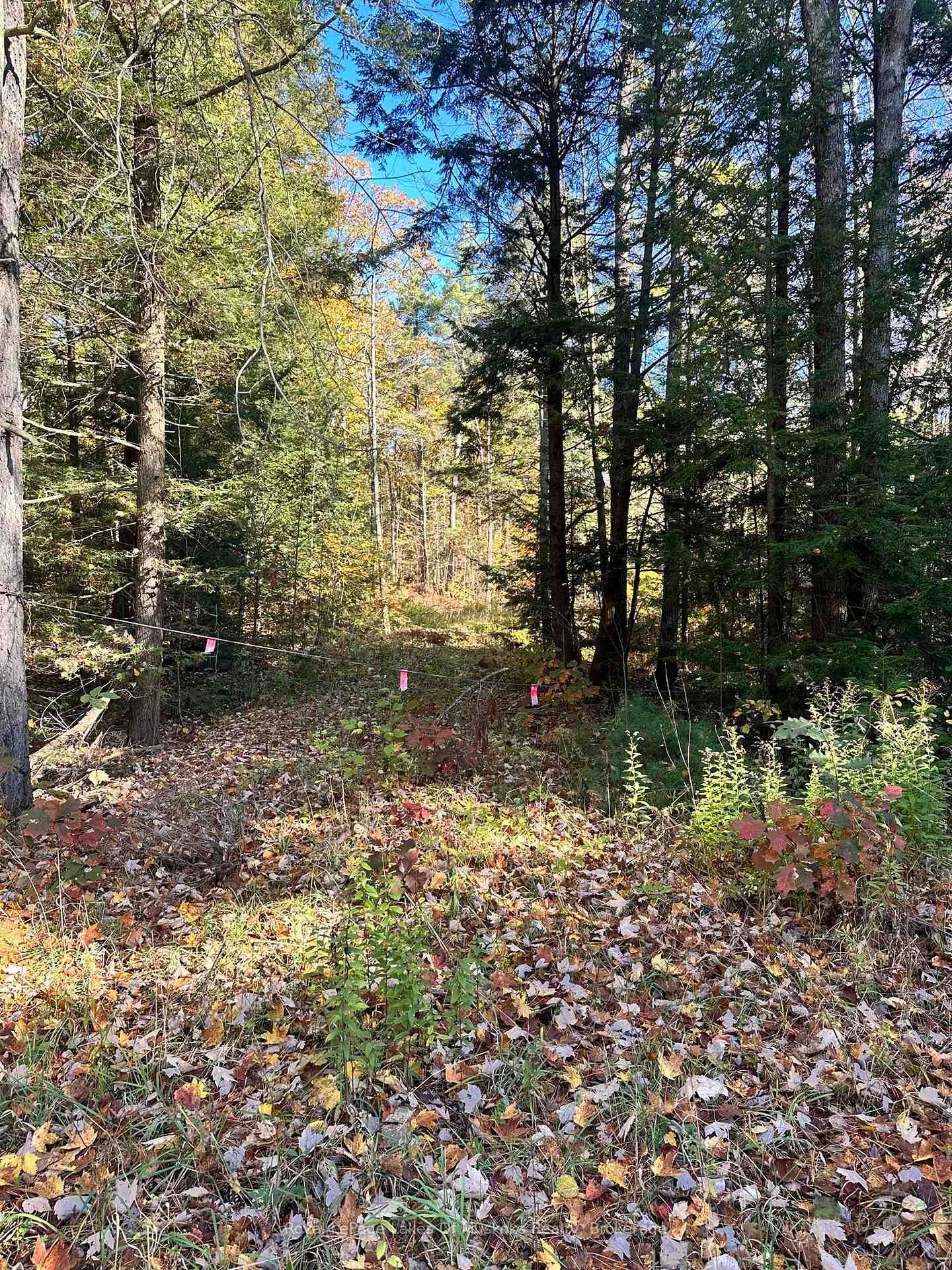 Property Photo:  1101 Doe Lake Road  ON P1P 1R3 