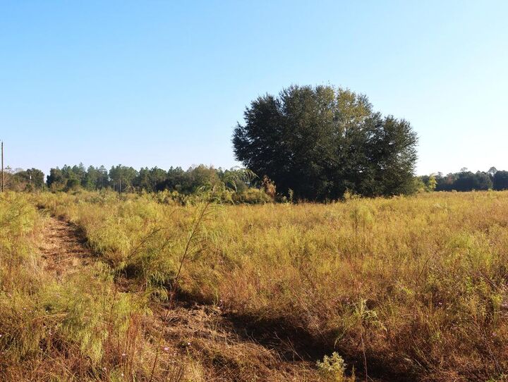 Property Photo: 841 County Road GA 39870