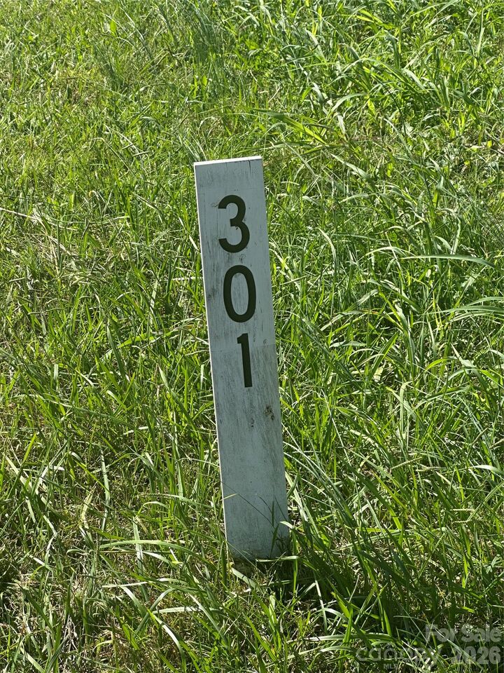Property Photo: Lot 301 Canterbury Drive NC 28659