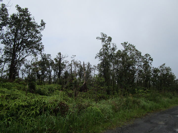 Property Photo:  Apuakehau Rd  HI 96785 