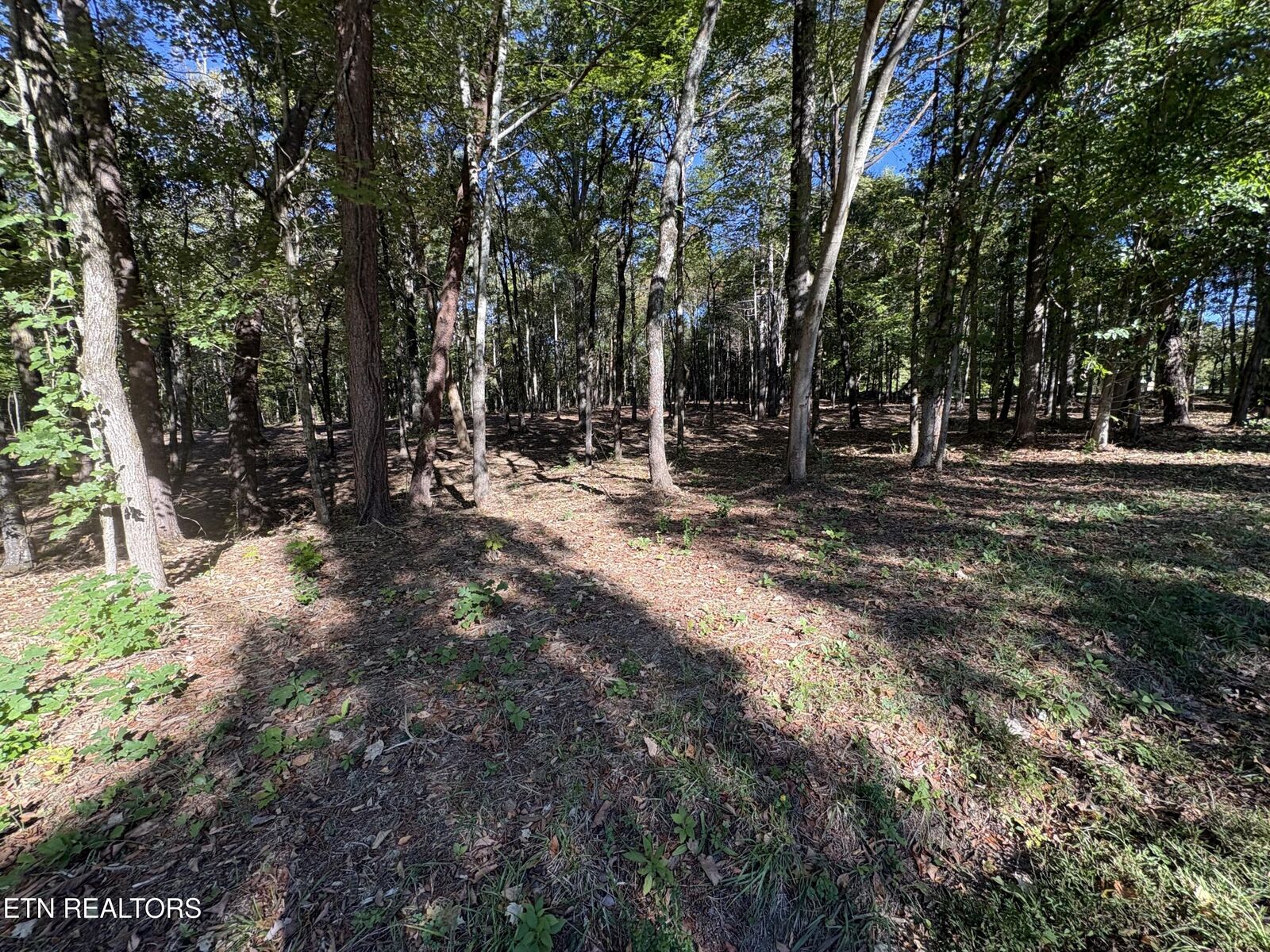 Property Photo:  0 Town Creek Rd  TN 37772 