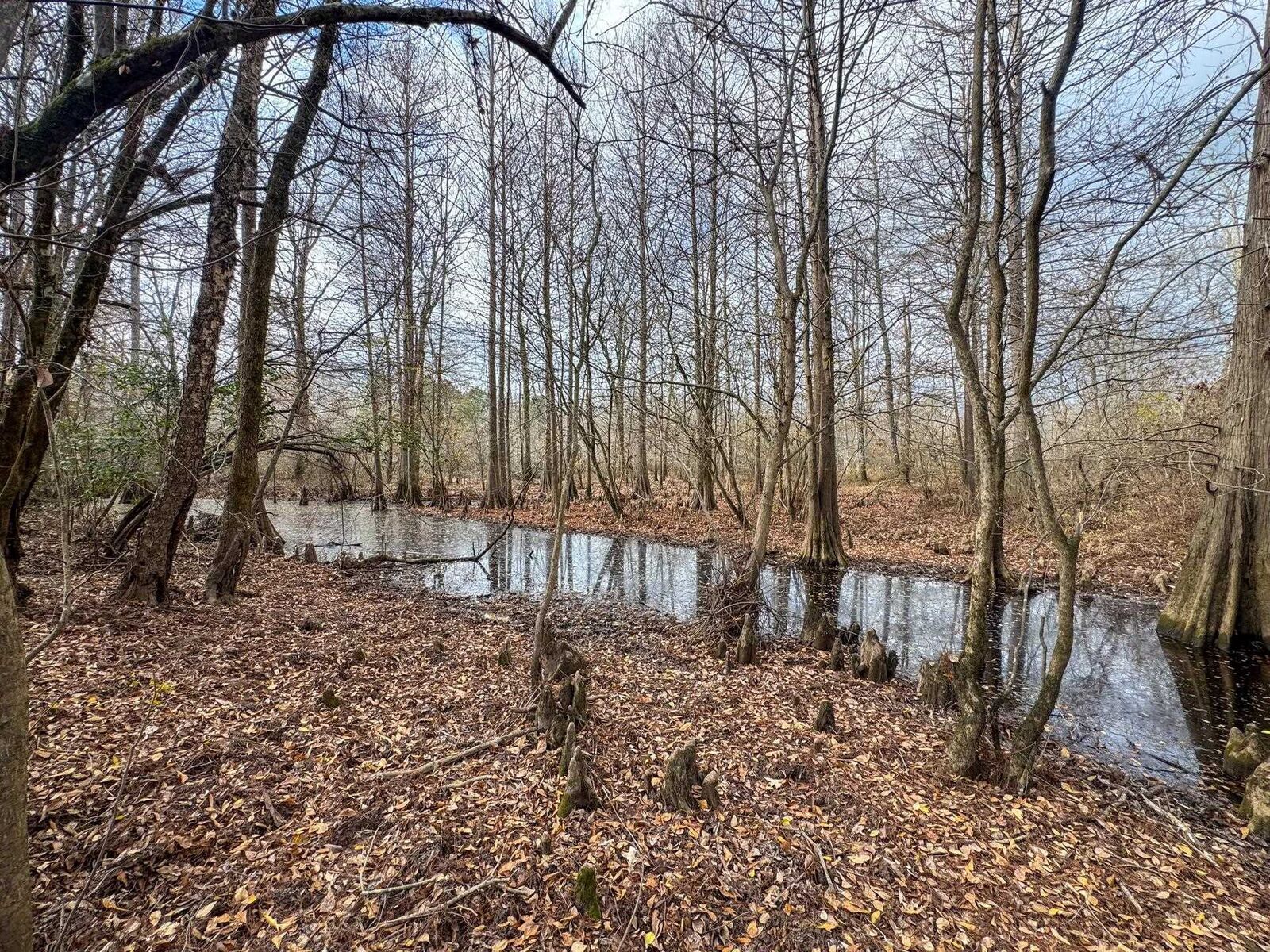 Property Photo:  0204 Easement Rd Off Cr 1619  TX 75563 