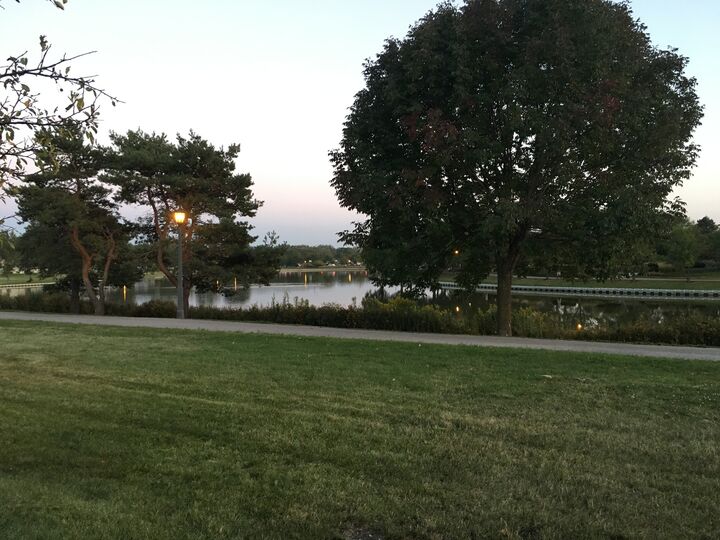 Property Photo: 923 Shattuck Lane 923 IL 60194