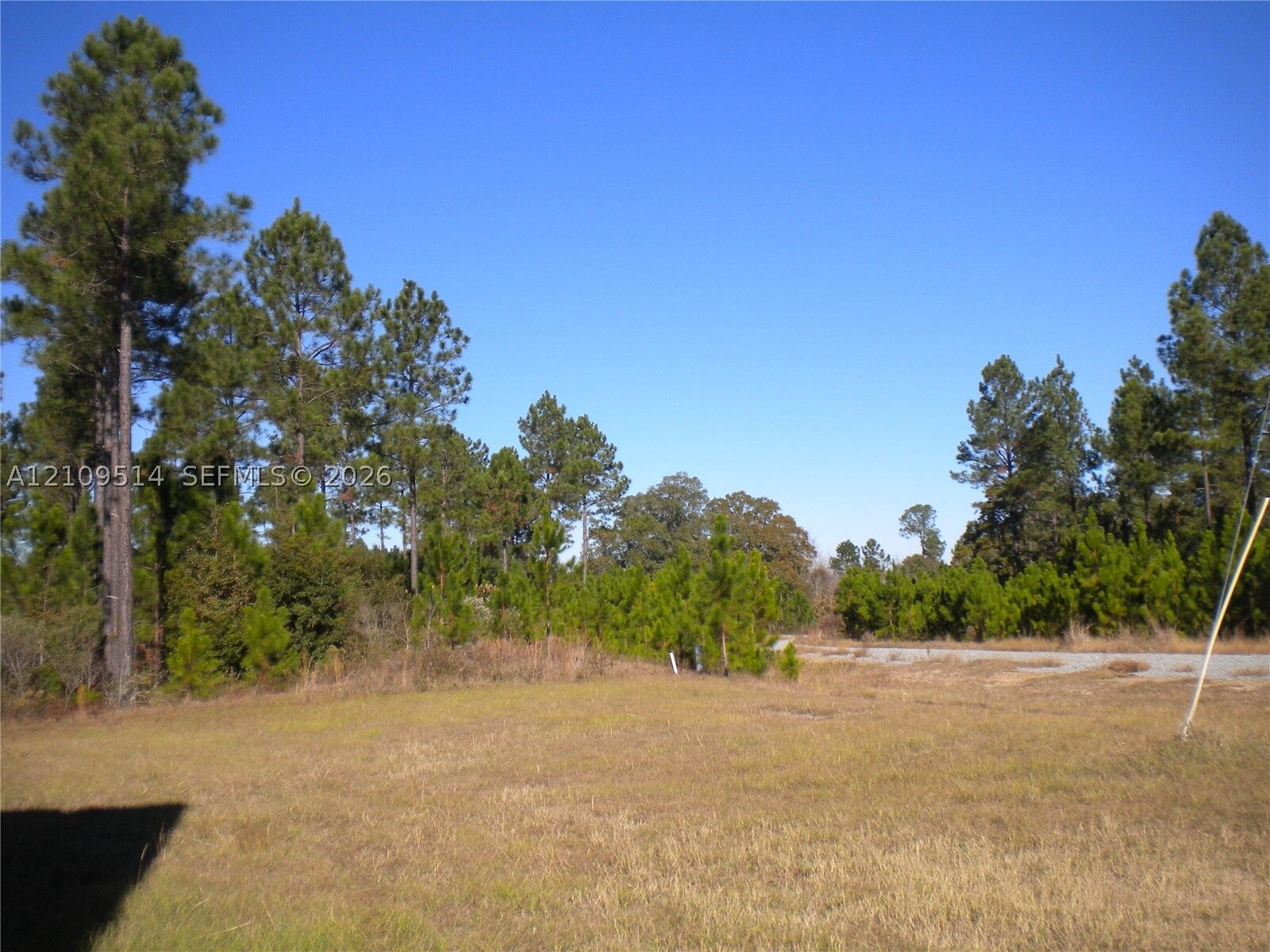 Property Photo: