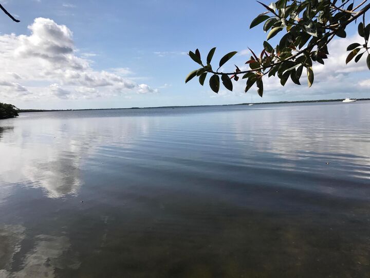 Property Photo:  4195 Pine Island Road NW  FL 33993 