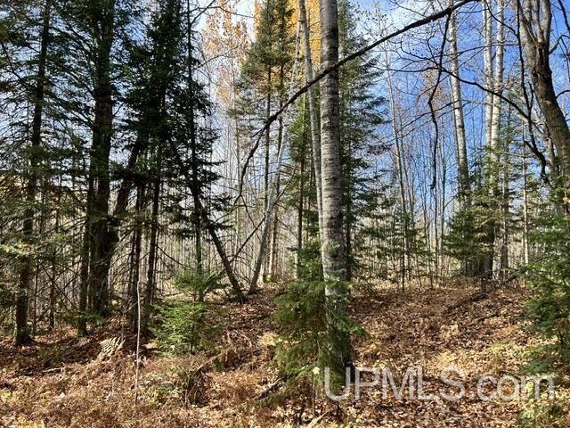 Property Photo:  Parcel 4 Crooked Road  MI 49916 
