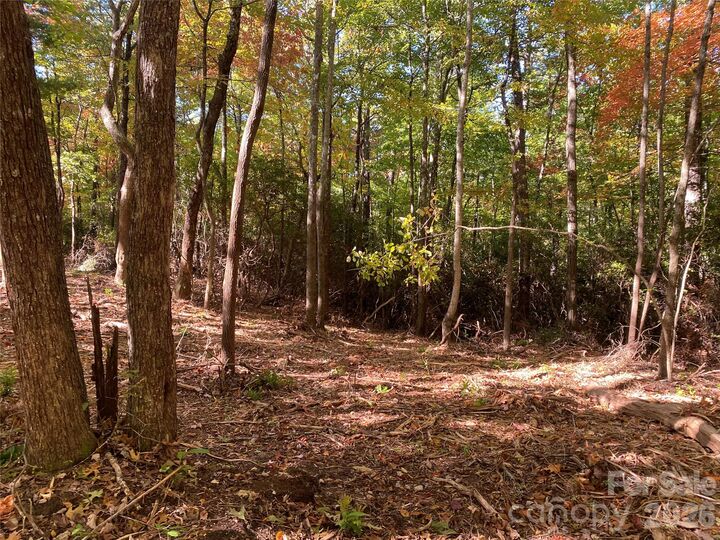 Property Photo:  24 Oak Brook West Lane 24  NC 28712 