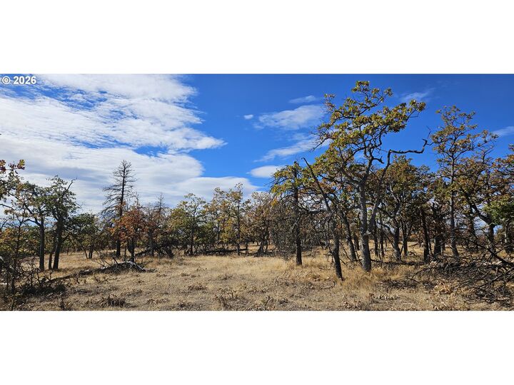 Property Photo:  Ridgetop Rd N  OR 97021 