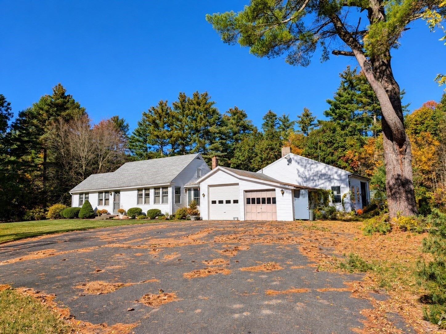 Property Photo: 702 Belchertown Rd MA 01082