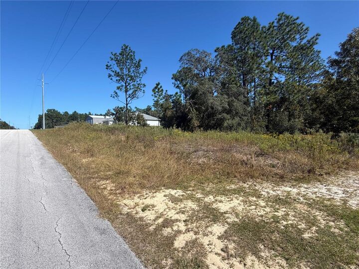 Property Photo: Lot 42 SW Azalea Court FL 34431