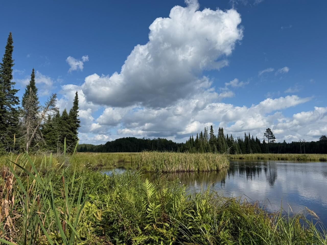 Property Photo: Xyz No Name Road MN 55705