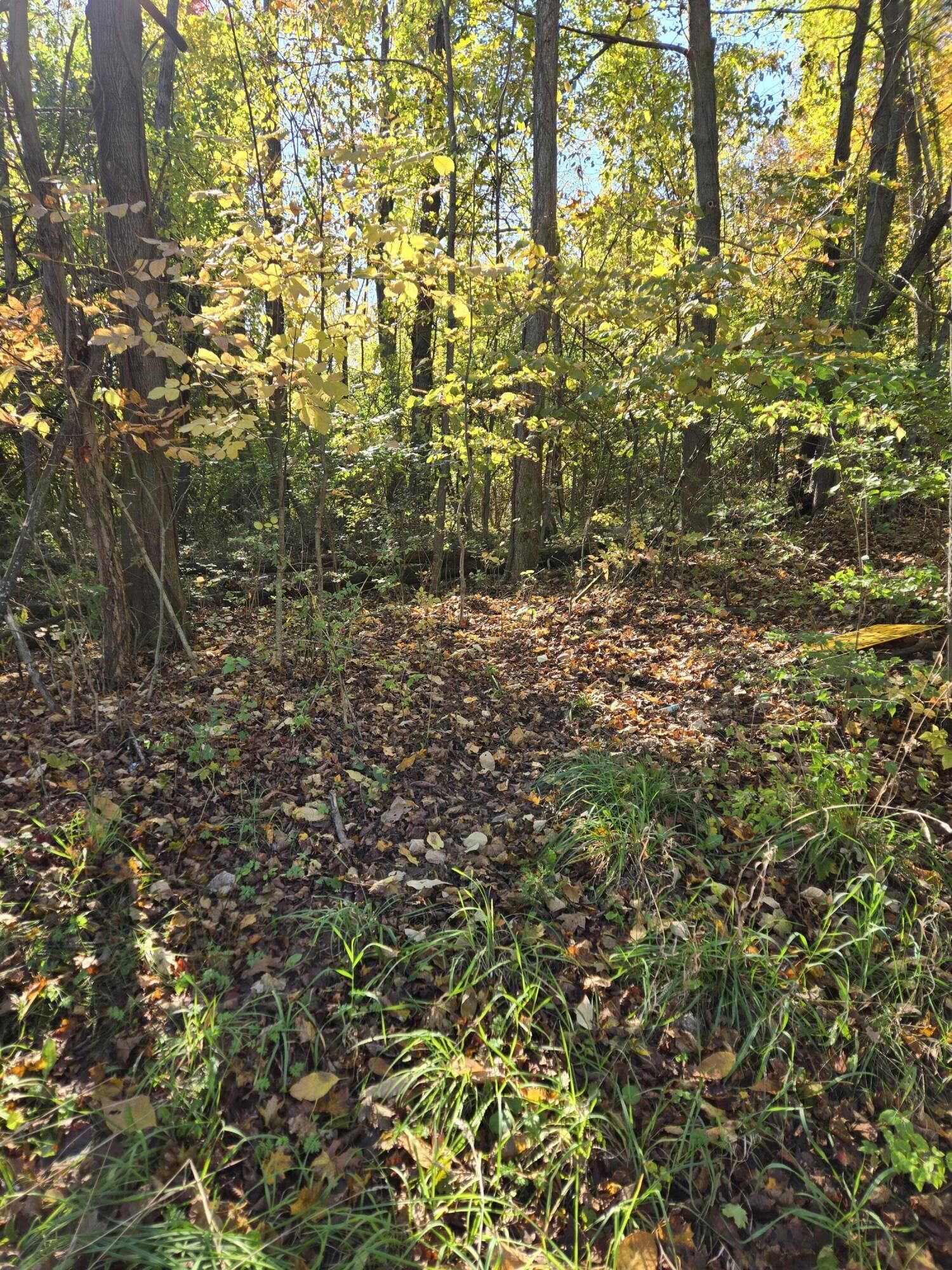 Property Photo:  116 W Bacon Street  MI 49242 