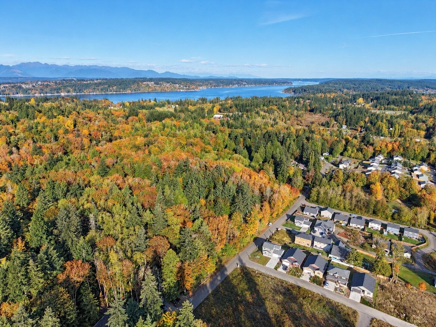 Property Photo: 0 Nevada Ave E WA 98366