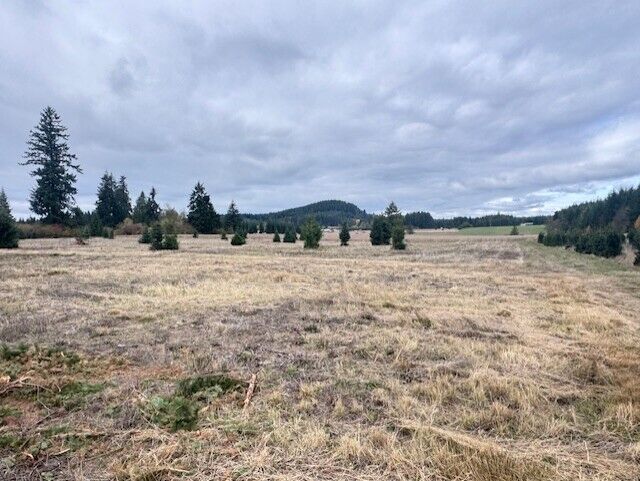 Property Photo: 0 Tennessee Road Lot 4 WA 98596
