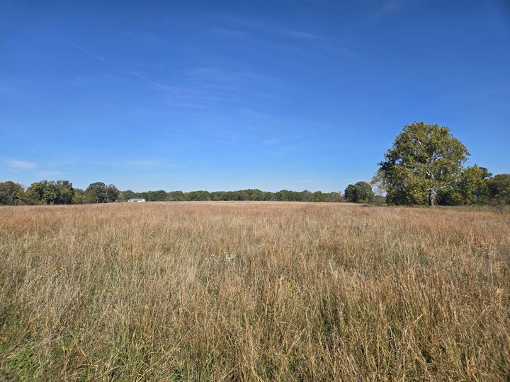 Property Photo:  19832 Cpunty Road 64  MO 65779 
