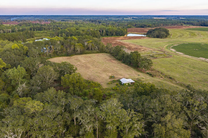 Property Photo:  13.71+/- County Road 625  AL 36318 