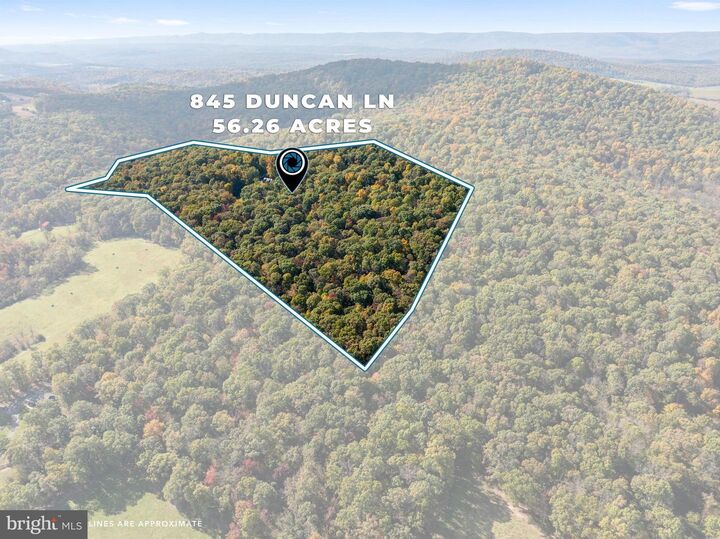 Property Photo: 845 Duncan Lane VA 22842