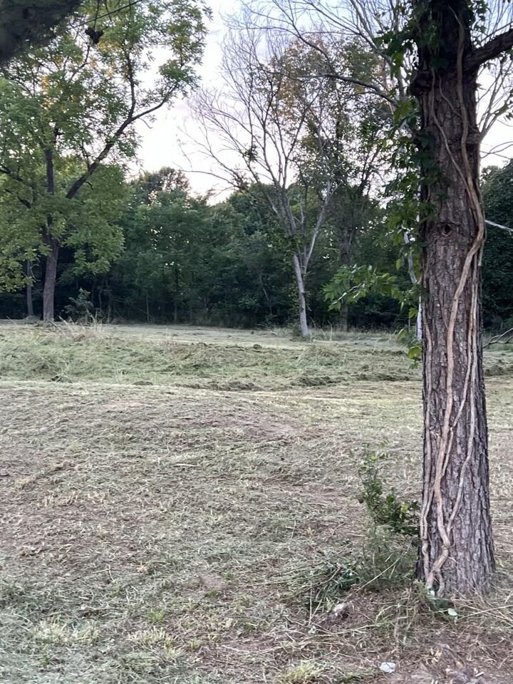 Property Photo:  1203 Knob Creek Road  AR 72556 